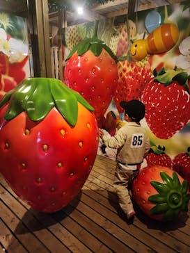 鈴鹿サーキットに投稿された画像（2023/12/3）