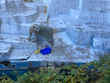 天王寺動物園に投稿された画像（2023/12/3）