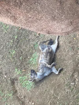 天王寺動物園に投稿された画像（2023/12/3）