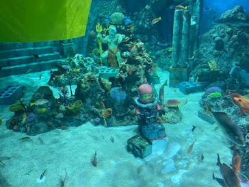 レゴランドⓇ・ジャパン・リゾートに投稿された画像（2023/12/3）