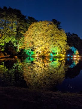 NAKED 紅葉の新宿御苑2023に投稿された画像（2023/12/3）