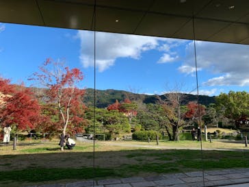 京都市美術館開館９０周年記念展　竹内栖鳳 破壊と創生のエネルギーに投稿された画像（2023/12/4）