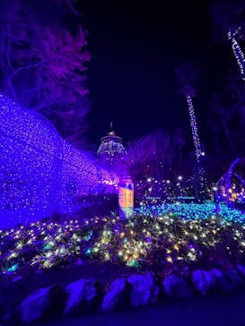 江の島シーキャンドルに投稿された画像（2023/12/4）