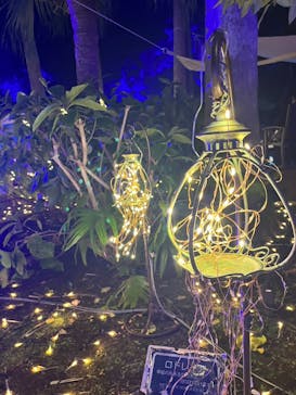 江の島シーキャンドルに投稿された画像（2023/12/4）