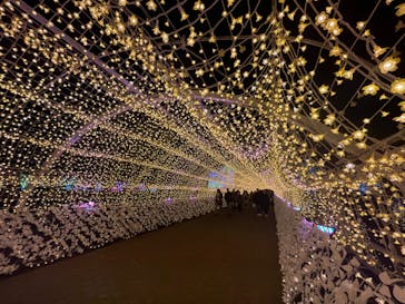 東京メガイルミに投稿された画像（2023/12/4）