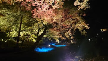 六義園に投稿された画像（2023/12/4）
