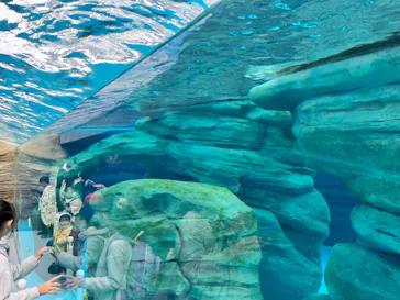 天王寺動物園に投稿された画像（2023/12/4）