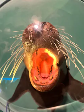 天王寺動物園に投稿された画像（2023/12/4）