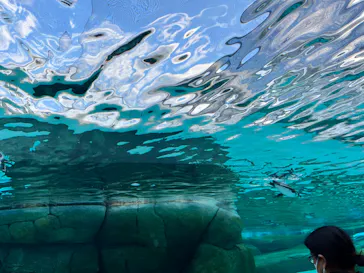 天王寺動物園に投稿された画像（2023/12/4）