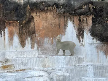 天王寺動物園に投稿された画像（2023/12/4）