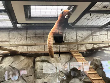 天王寺動物園に投稿された画像（2023/12/4）