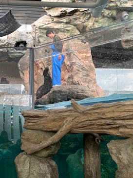 京都鉄道博物館×京都水族館に投稿された画像（2023/12/4）