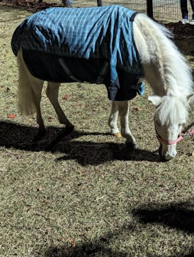 東京メガイルミに投稿された画像（2023/12/4）