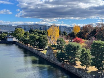 元離宮二条城に投稿された画像（2023/12/4）