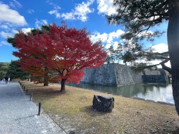 元離宮二条城に投稿された画像（2023/12/4）