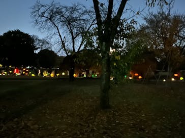 NAKED 紅葉の新宿御苑2023に投稿された画像（2023/12/4）