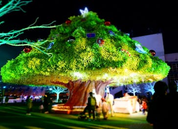 東京メガイルミに投稿された画像（2023/12/4）