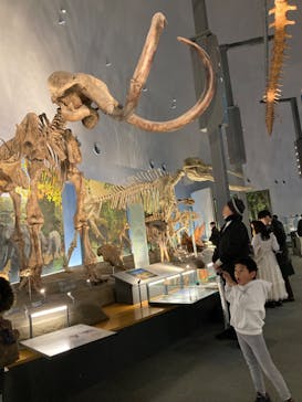 福井県立恐竜博物館に投稿された画像（2023/12/4）