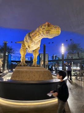 福井県立恐竜博物館に投稿された画像（2023/12/4）