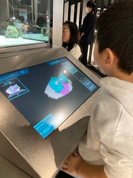 福井県立恐竜博物館に投稿された画像（2023/12/4）