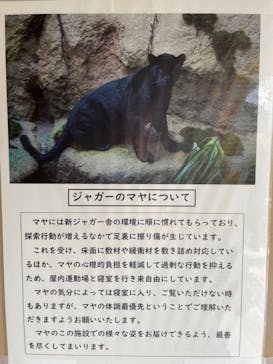 名古屋市東山動植物園に投稿された画像（2023/12/4）