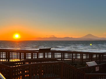 新江ノ島水族館に投稿された画像（2023/12/4）