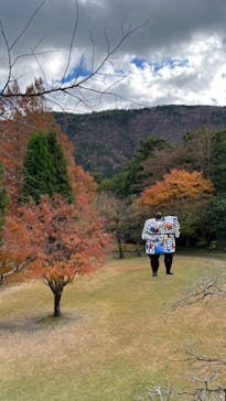 彫刻の森美術館に投稿された画像（2023/12/4）