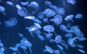 AOAO SAPPOROに投稿された画像（2023/12/4）