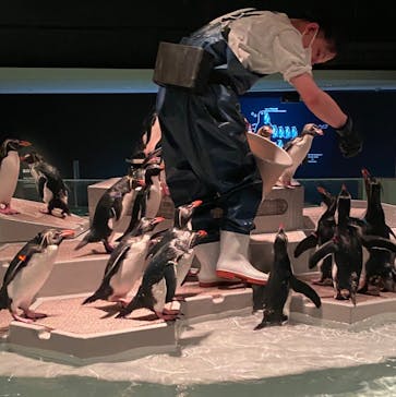 AOAO SAPPOROに投稿された画像（2023/12/4）