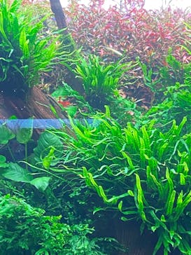 AOAO SAPPOROに投稿された画像（2023/12/4）