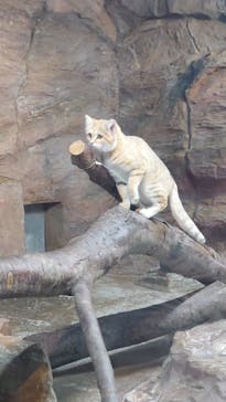 那須どうぶつ王国に投稿された画像（2023/12/4）