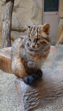 那須どうぶつ王国に投稿された画像（2023/12/4）