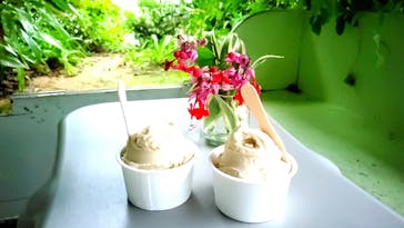 西表島 ADVENTURE PiPi（アドベンチャーピピ）に投稿された画像（2023/12/4）