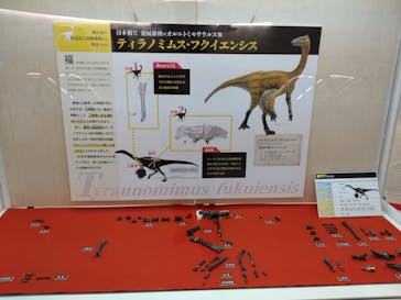 福井県立恐竜博物館に投稿された画像（2023/12/4）