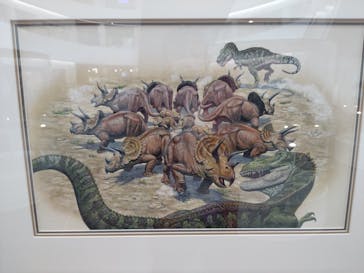 福井県立恐竜博物館に投稿された画像（2023/12/4）