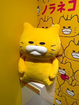 ノラネコぐんだん展に投稿された画像（2023/12/4）