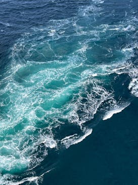 徳島県立 渦の道に投稿された画像（2023/12/4）