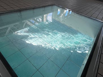 徳島県立 渦の道に投稿された画像（2023/12/4）