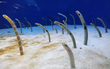 仙台うみの杜水族館に投稿された画像（2023/12/4）