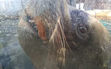 仙台うみの杜水族館に投稿された画像（2023/12/4）