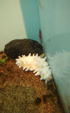 仙台うみの杜水族館に投稿された画像（2023/12/4）