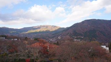 彫刻の森美術館に投稿された画像（2023/12/4）