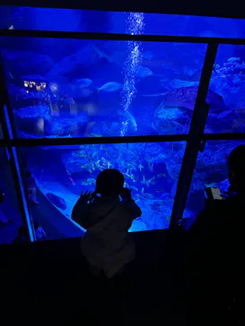 すみだ水族館に投稿された画像（2023/12/4）