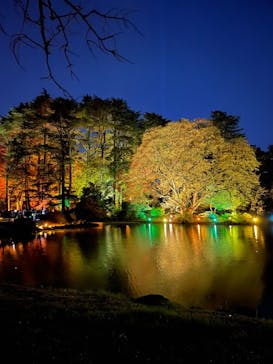 NAKED 紅葉の新宿御苑2023に投稿された画像（2023/12/4）