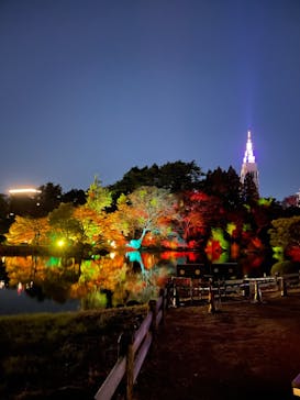 NAKED 紅葉の新宿御苑2023に投稿された画像（2023/12/4）