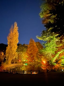 NAKED 紅葉の新宿御苑2023に投稿された画像（2023/12/4）