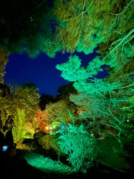 NAKED 紅葉の新宿御苑2023に投稿された画像（2023/12/4）