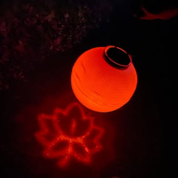 NAKED 紅葉の新宿御苑2023に投稿された画像（2023/12/4）