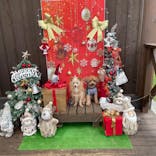 わんダフルネイチャーヴィレッジに投稿された画像（2023/12/4）