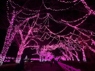 那須ハイランドパークに投稿された画像（2023/12/4）